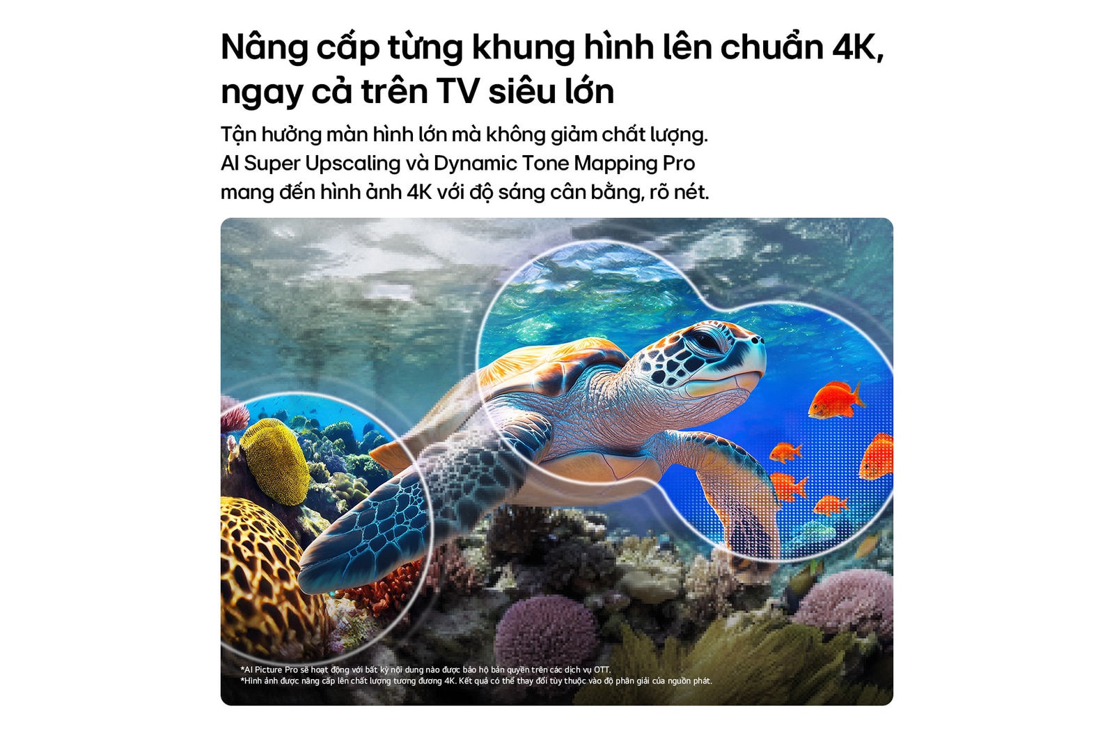 LG QNED evo AI QNED82 Mini LED with AI Picture Pro and Dynamic Tone Mapping Pro shows an underwater scene of a sea turtle gliding above coral and fish, as AI recognizes and upscales each frame up to 4K resolution.